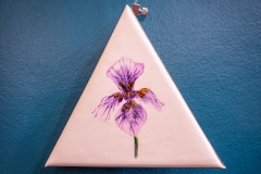 Iris-by-Joury
